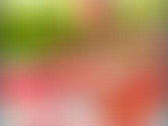 Aganang FM to Host Family Gathering Picnic on 16 December