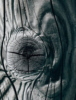 現代主義/Lai-Ba(超現實)