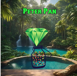 island sea shore with palm - Made with PosterMyWall.jpg