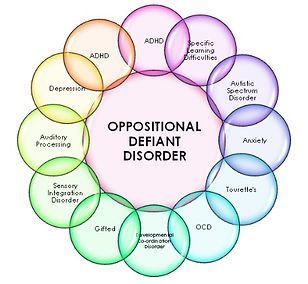 What-is-Oppositional-Defiant-Disorder-Sp
