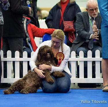 Screen Shot 2019-02-27 at 11.09.45.png