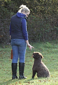 Joy & Bob Gundog training
