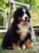 phpThumb_generated_thumbnail.jpeg