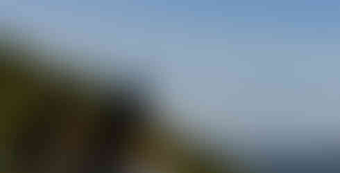 The ravens looking out on their kingdom