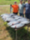 2905144736433092175.JPEG