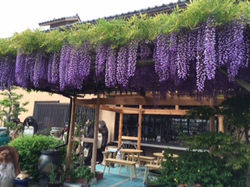 お店の入り口に