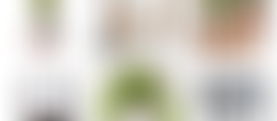 Affordable Alternatives to the Modernica Case Study Planter