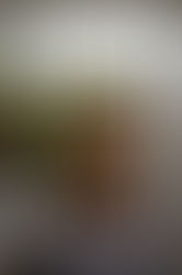 10 Stunning Outdoor Showers to Get You Through the Work Week