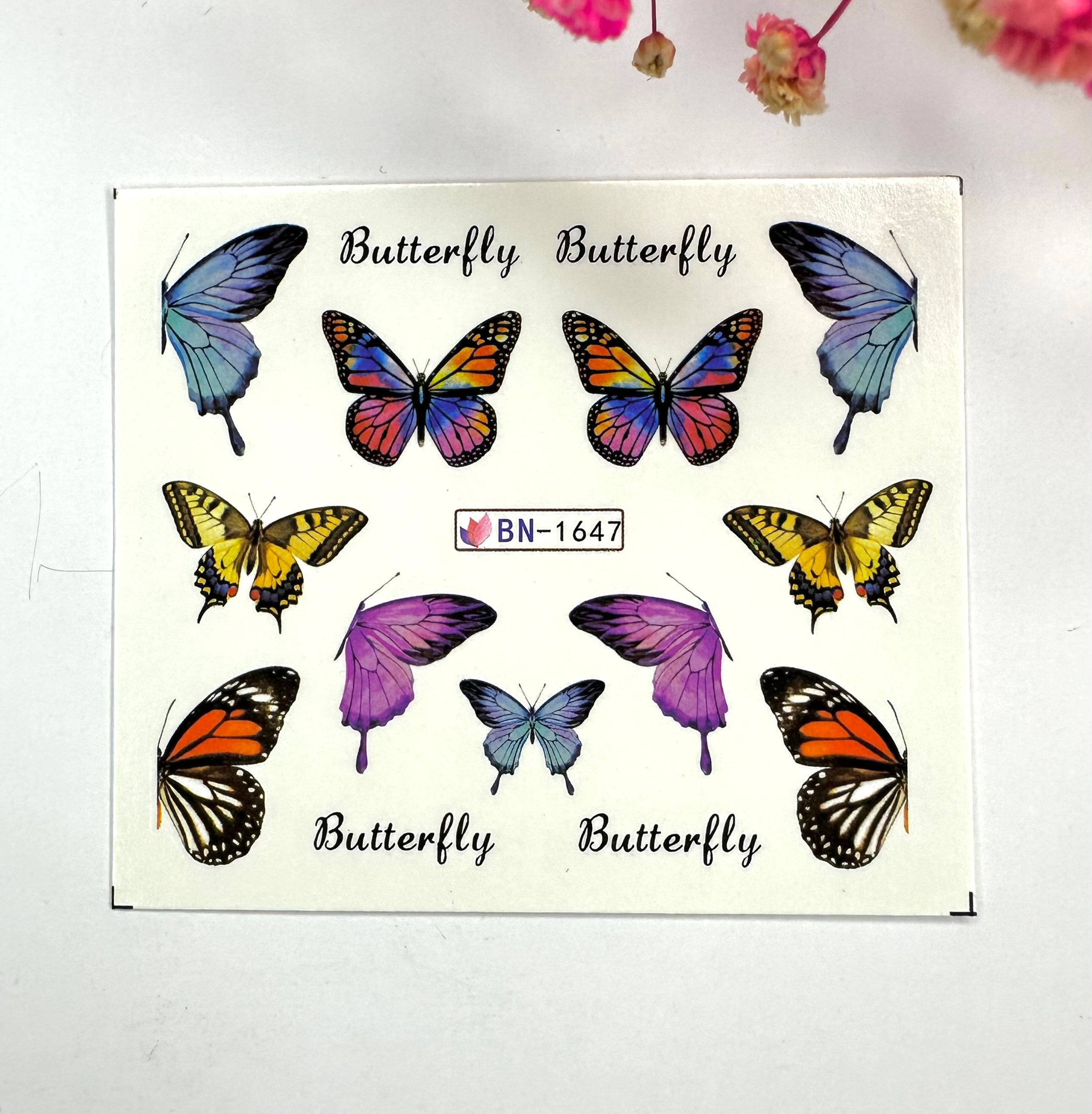 Butterfly