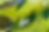 image (3).png