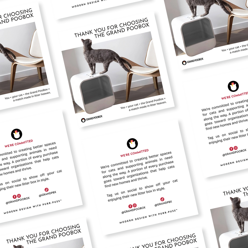 grand-poobox-website-branding-design