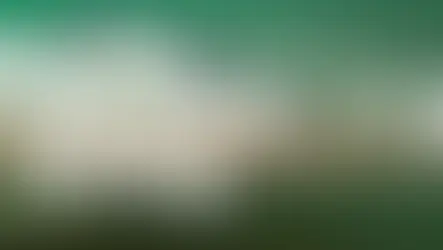 Flexon Glasses Nottingham Derby and Leicester stockists.