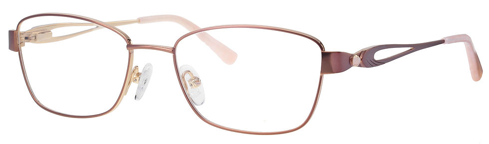 FERUCCI 66 PURE TITANIUM GLASSES