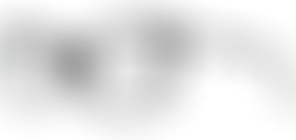 Swarovski ladies plastic and metal designer glasses and sunglasses