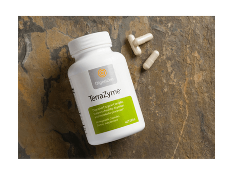 DigestZen TerraZyme® - Verdauungsenzym-Komplex