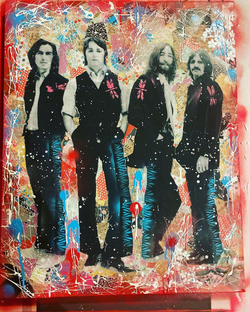 Dragonflies and Beatles