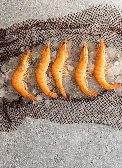 LANGOSTINOS.jpg