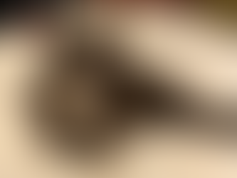 Kitty Eye