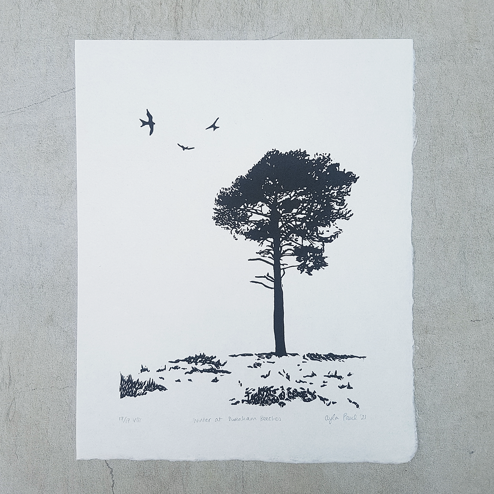 Thumbnail: Winter at Burnham Beeches
