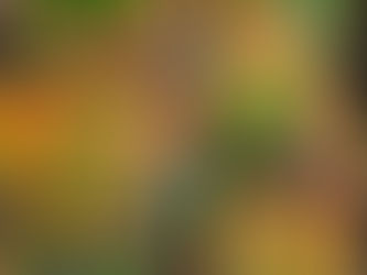 Ultimate Texas Roadhouse Style Pork Chops Recipe You Need to Try