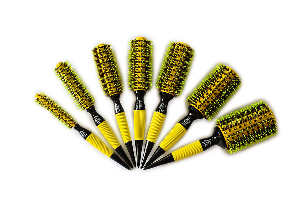 Set of professional Evas CMS Collection hair brushes in various sizes.
