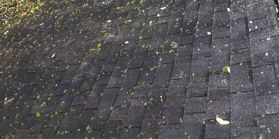 Pro Washing Services Technician Power Washing a Deck