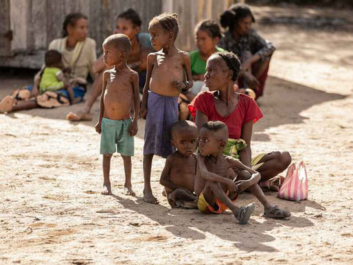 Madagascar : l’ONU alerte sur un risque de quadruplement de la faim d’ici 2026 dans le Grand Sud