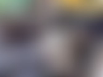 Antananarivo : Démantèlement d’un vaste réseau d’exportation clandestine de lémuriens