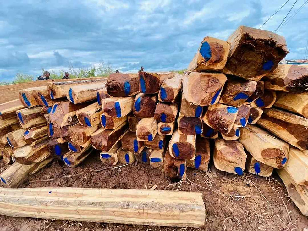 Maintirano : un bateau intercepté au port d’Ankalalobe alors qu’il s’apprêtait à exporter illégalement du bois précieux