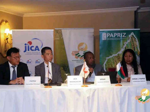 Le projet PAPRIZ3 clôturé : un modèle national pour la riziculture malgache