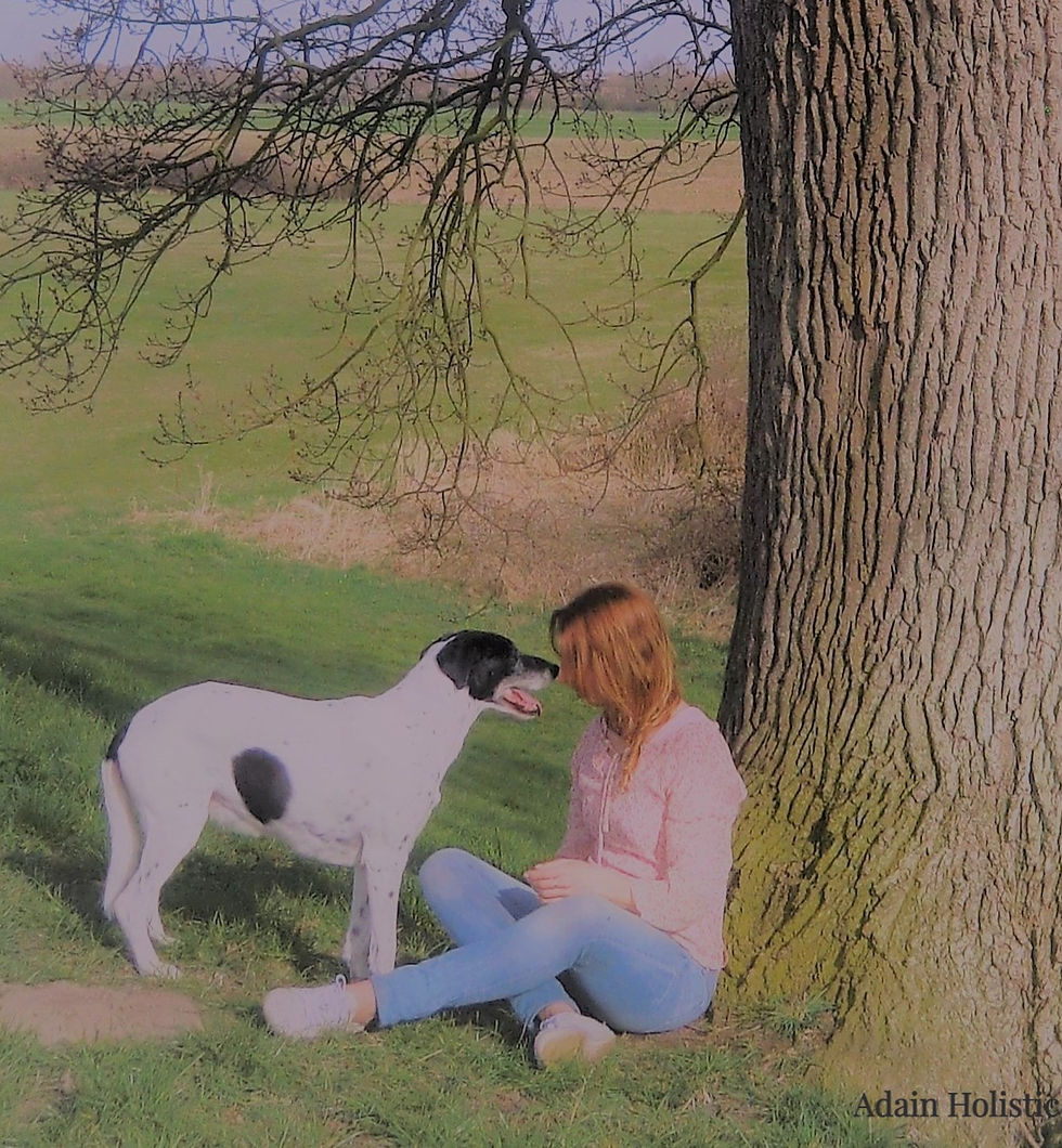 Adain Holistic Healing