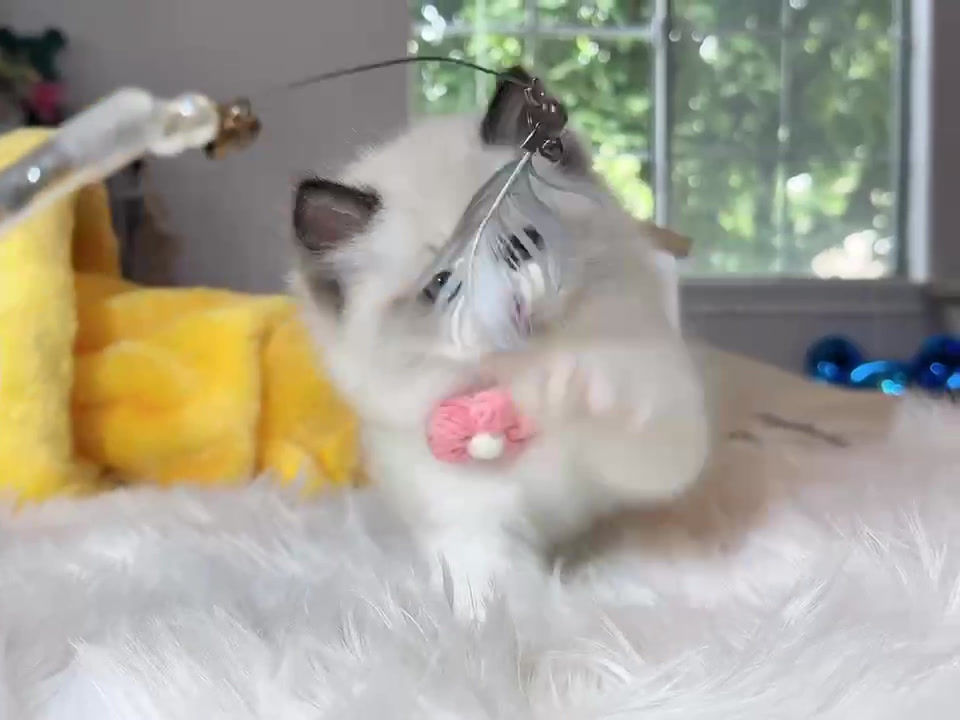 Thumbnail: Tubby