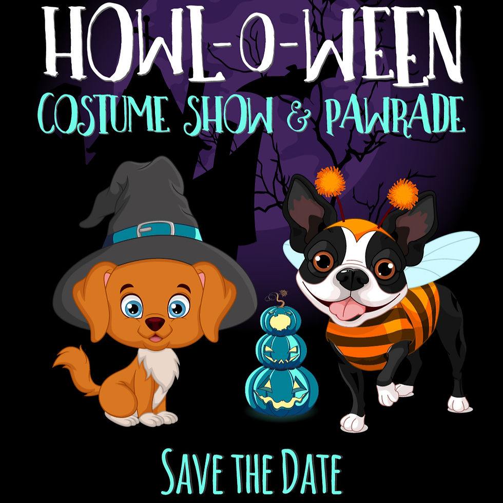 halloween dog parade and costume show