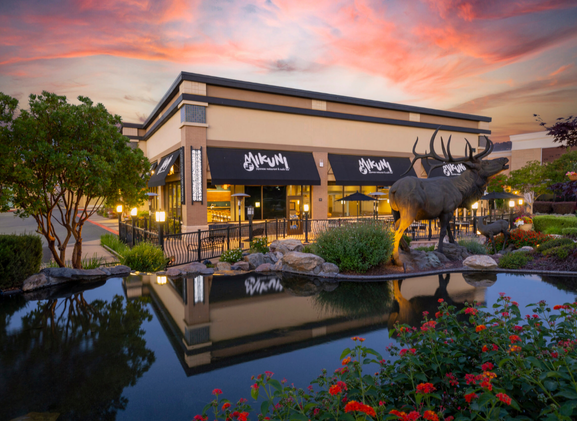 Mikuni | The Fountains