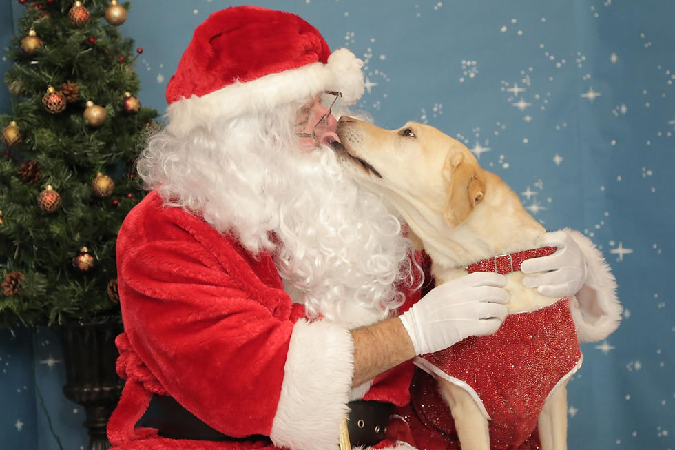 Pet Pictures with Santa at Pet Food Express