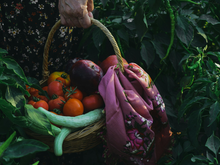 veggies in a basket surrounded by greenery