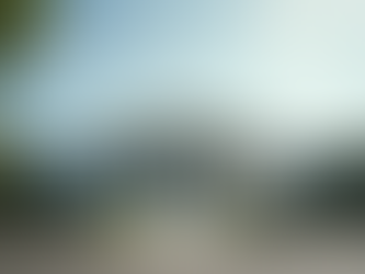 Government Debt Collection Methods Explained