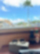 IMG_9867.jpeg