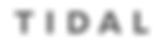 MONETIZE (1).png