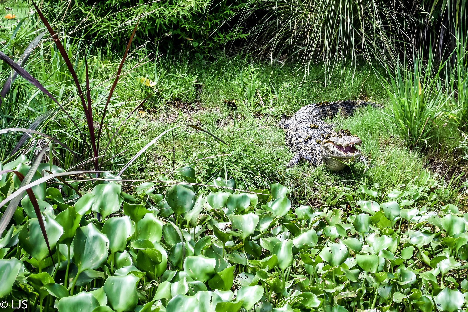 Parque Nac. Santa Teresa