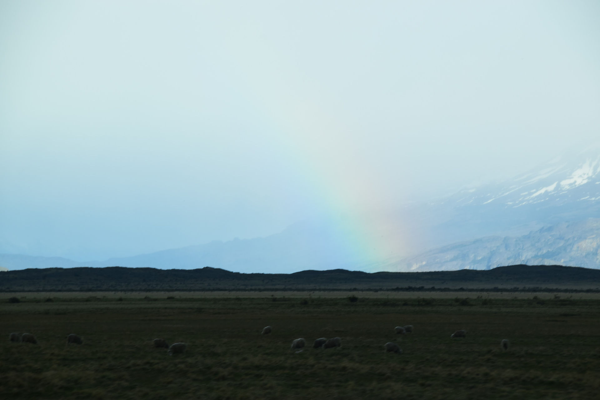 El Calafate