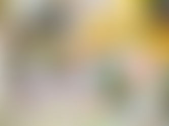 Weihnachtsbaumaktionen