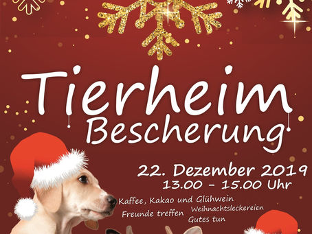 Tierheimbescherung