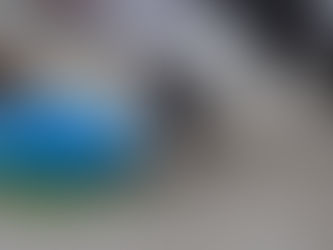 Tier der Woche (mit Video)