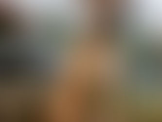 Stafford-Mix Flex: Ein aktiver Hund mit großem Herz sucht sein Glück