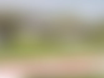 Tierheim bleibt geschlossen