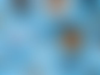 Tiertafel: Futterausgabe am 17.05.24