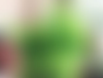 リーダーになってしまった『あなた』へ。育てる。