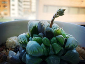 会議をやらない方法とは。