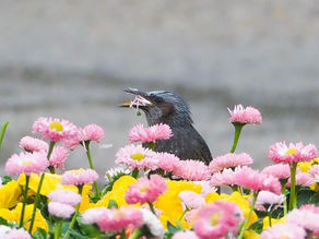 少し詳しく会議のプロセスを考えましょう